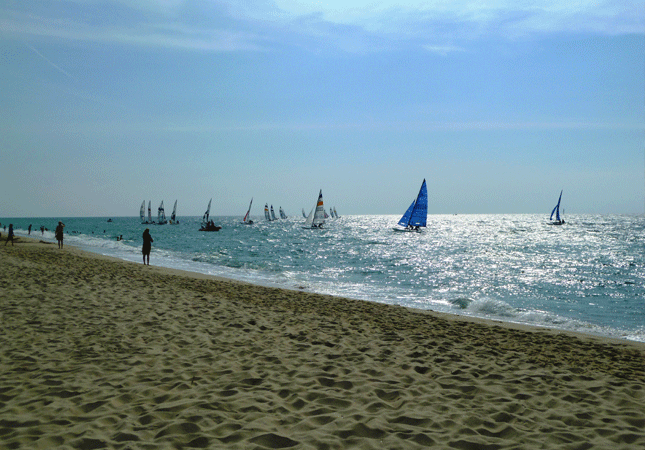 Regatta vor Sylt